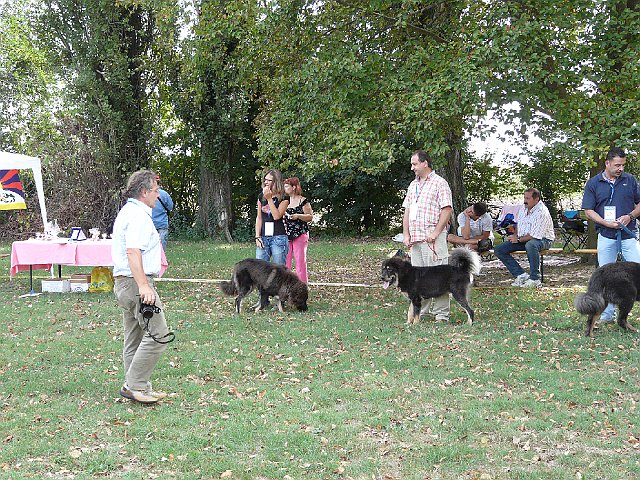 img 075.jpg